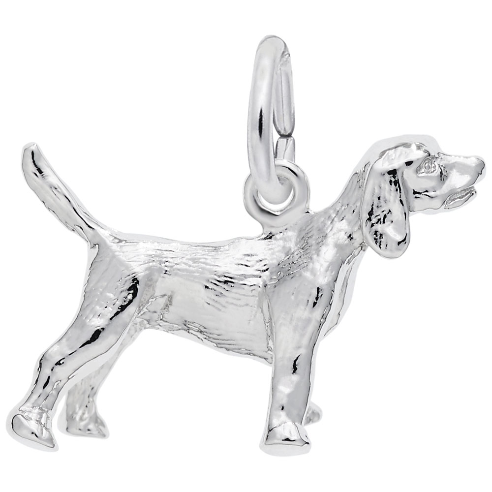 BEAGLE by Rembrandt Charms