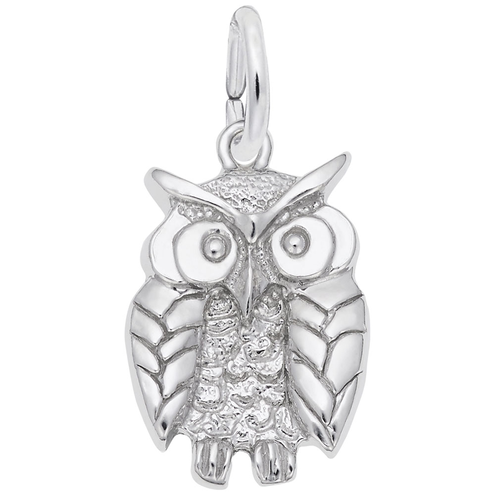 WISE OWL by Rembrandt Charms
