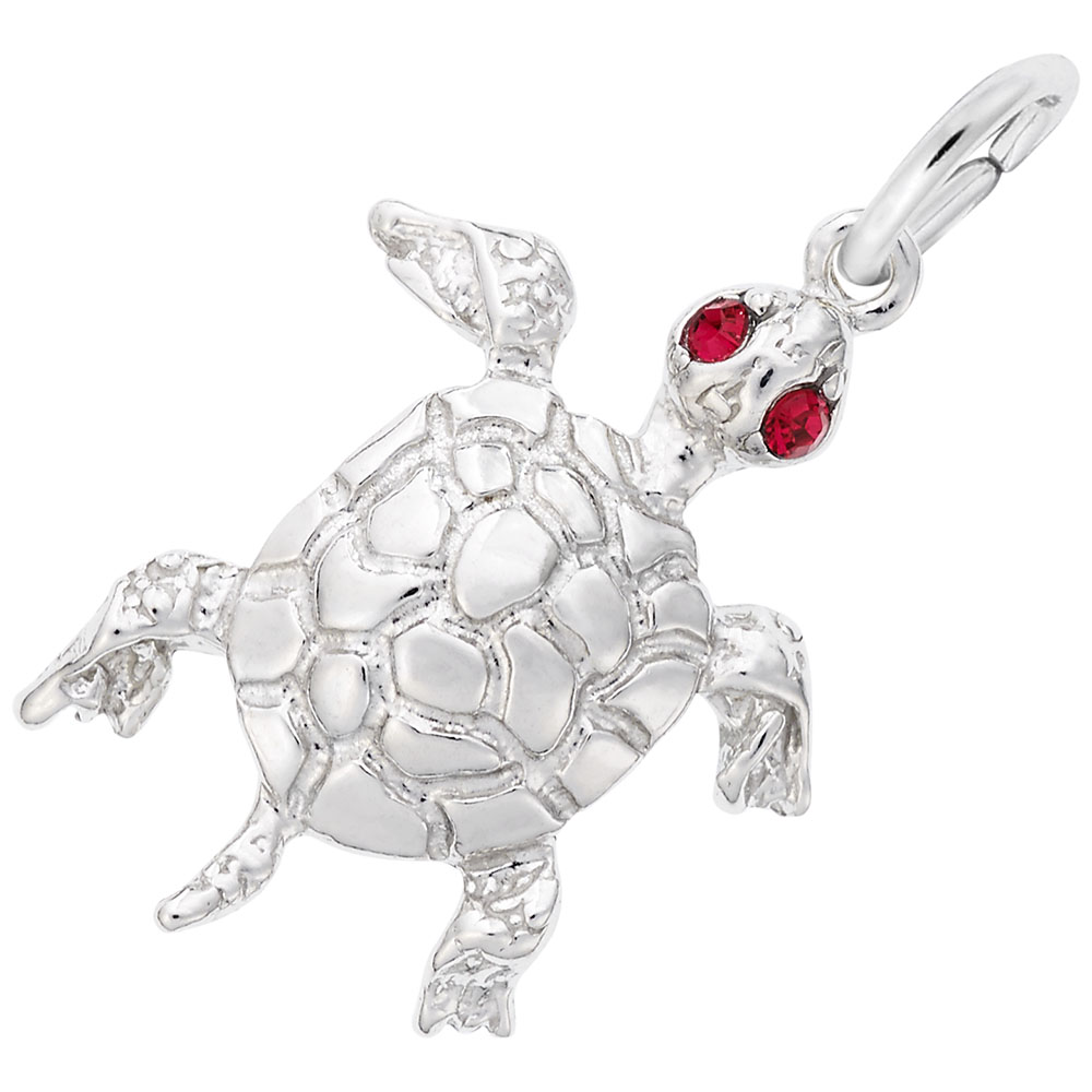 TURTLE by Rembrandt Charms