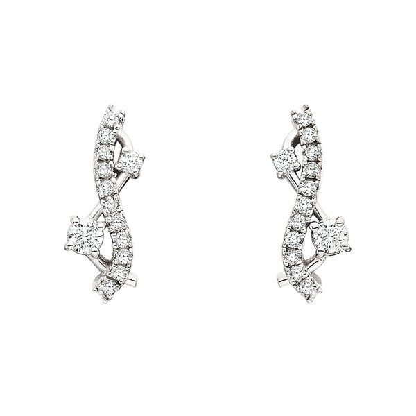 14K White Diamond Weave Earrings David Mann, Jeweler Geneseo, NY