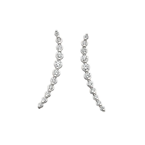 14K White Diamond Earrings 1/2ct. David Mann, Jeweler Geneseo, NY