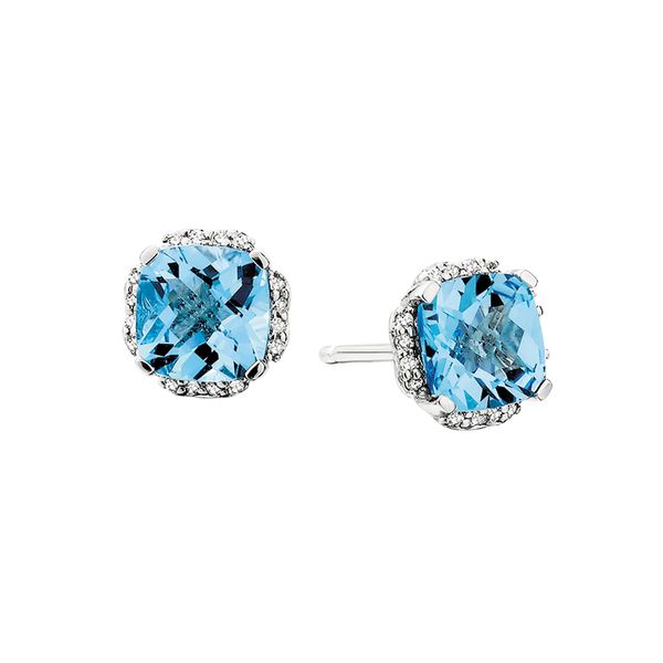 SS Blue Topaz Earrings David Mann, Jeweler Geneseo, NY