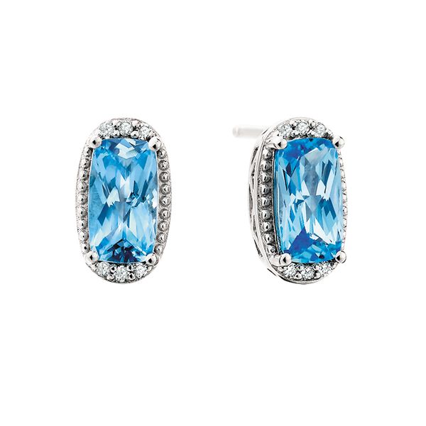 SS Blue Topaz Earrings Leitzel's Jewelry Myerstown, PA