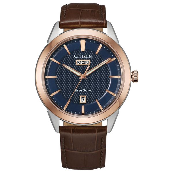 CITIZEN Eco-Drive Dress/Classic Corso Mens Watch Stainless Steel Gaines Jewelry Flint, MI