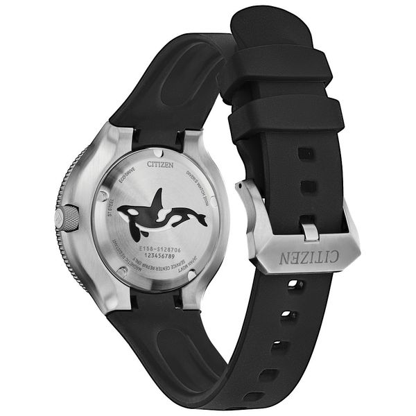 CITIZEN Eco-Drive Quartz Orca Mens Watch Stainless Steel Image 2 Collier's Jewelers Whiteville, NC