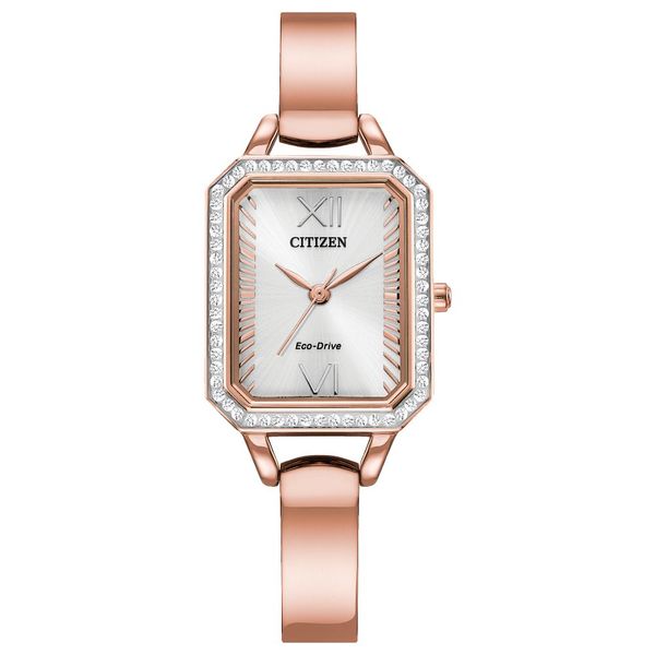 CITIZEN Eco-Drive Quartz Crystal Ladies Watch Stainless Steel Collier's Jewelers Whiteville, NC