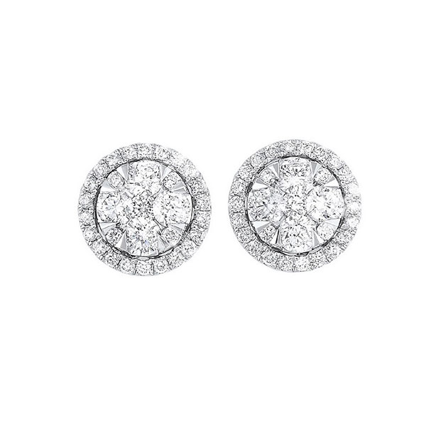 14KT White Gold & Diamond Classic Book Starbright Fashion Earrings  - 3/4 ctw Ross's Fine Jewelers Kilmarnock, VA