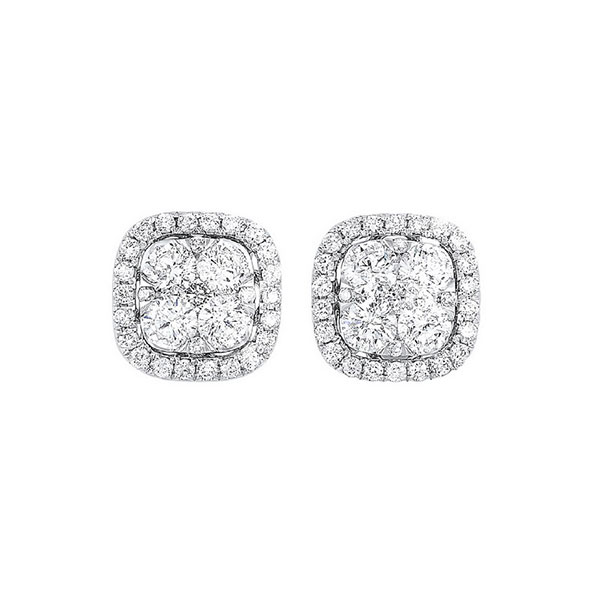 14KT White Gold & Diamond Classic Book Starbright Fashion Earrings  - 1/2 ctw Patterson's Diamond Center Mankato, MN
