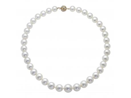 14KT Yellow Gold White South Sea Pearl Necklace Wesche Jewelers Melbourne, FL