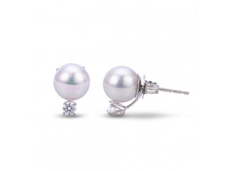 14KT White Gold Akoya Pearl Earring Carroll / Ochs Jewelers Monroe, MI