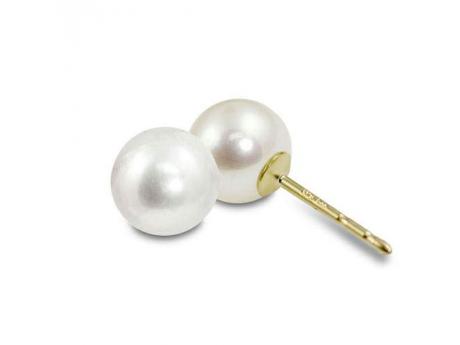 14KT Yellow Gold Akoya Pearl Earring Cravens & Lewis Jewelers Georgetown, KY