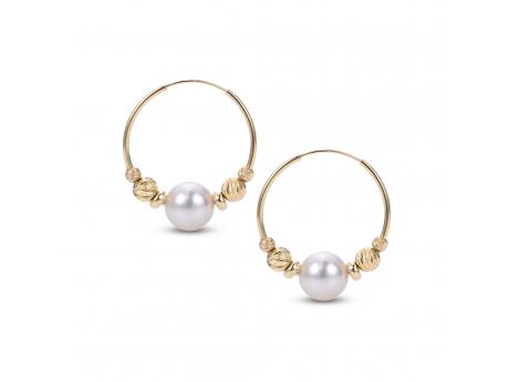 14KT Yellow Gold Akoya Pearl Earring Carroll / Ochs Jewelers Monroe, MI