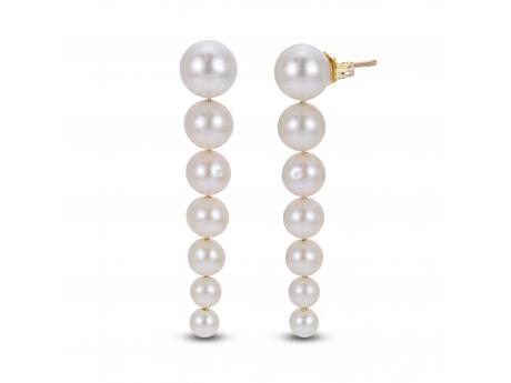 14KT Yellow Gold Freshwater Pearl Earring Timmreck & McNicol Jewelers McMinnville, OR