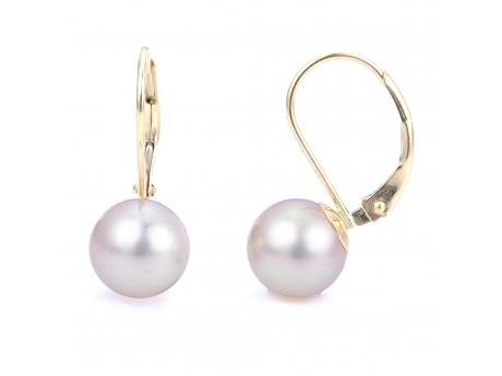 14KT Yellow Gold Akoya Pearl Earring Reigning Jewels Fine Jewelry Athens, TX