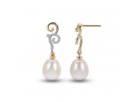 14KT Yellow Gold Freshwater Pearl Earring Lewis Jewelers, Inc. Ansonia, CT