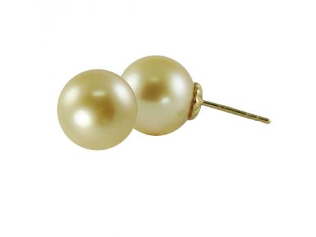 14KT Yellow Gold Golden South Sea Pearl Earring Wesche Jewelers Melbourne, FL
