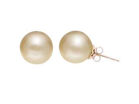 14KT Yellow Gold Golden South Sea Pearl Earring Futer Bros Jewelers York, PA