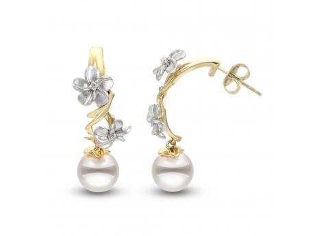 14KT Yellow & White Gold Akoya Earring Wesche Jewelers Melbourne, FL