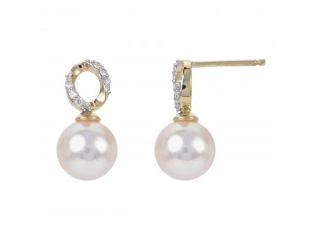 14KT Yellow Gold Akoya Pearl Earring Mueller Jewelers Chisago City, MN