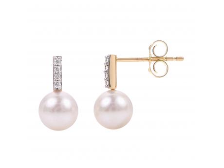 14KT Yellow Gold Akoya Pearl Earring Clater Jewelers Louisville, KY