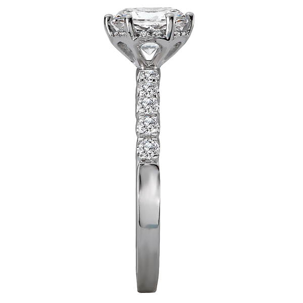 Halo Semi-Mount Diamond Ring Image 3 J. Schrecker Jewelry Hopkinsville, KY