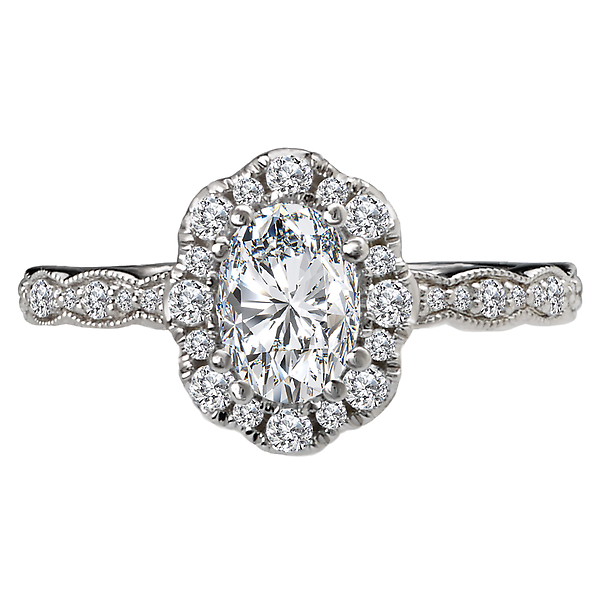 Halo Semi-Mount Diamond Ring Image 4 J. Schrecker Jewelry Hopkinsville, KY