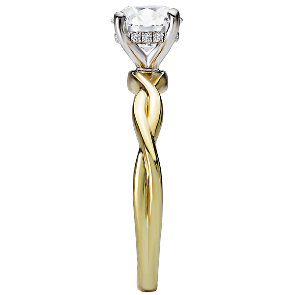Halo Diamond Engagement Ring Image 3 Puckett's Fine Jewelry Benton, KY