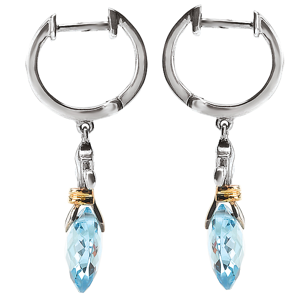 Ladies Fashion Gemstone Earrings Image 3 Ann Booth Jewelers Conway, SC