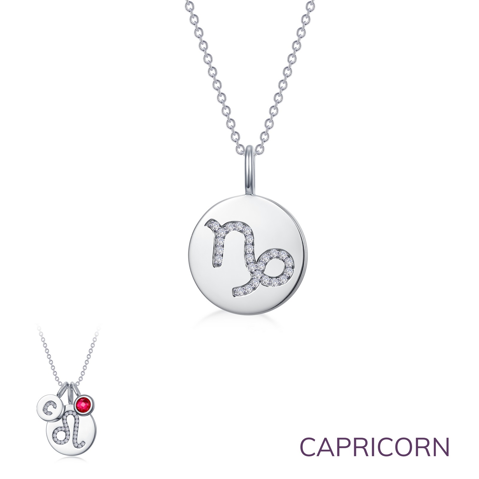 Zodiac Pendant Necklace, Capricorn Ware's Jewelers Bradenton, FL