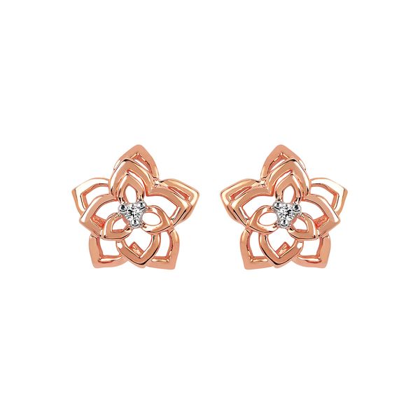 14k Rose Gold Diamond Earrings Trenton Jewelers Ltd. Trenton, MI