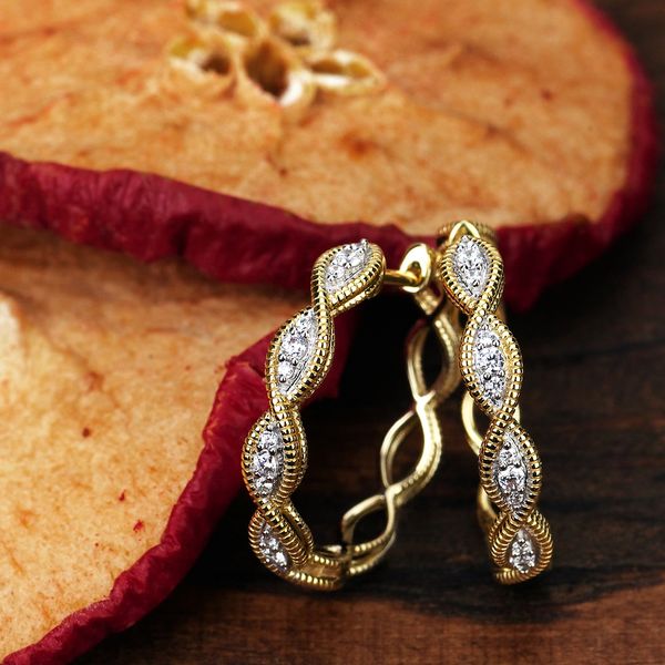 14k Yellow Gold Hoop Earrings Image 3 Timmreck & McNicol Jewelers McMinnville, OR