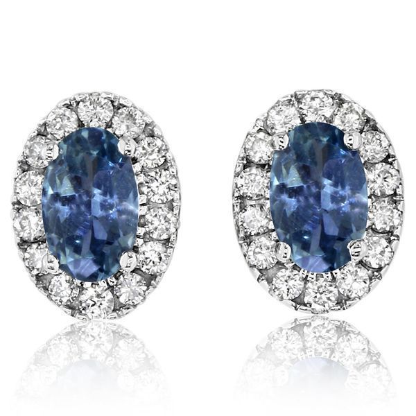 White Gold Sapphire Earrings Conti Jewelers Endwell, NY
