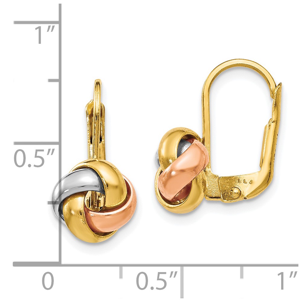 14K Tri-Color Gold Polished Earrings Image 2 Raleigh Diamond Fine Jewelry Raleigh, NC