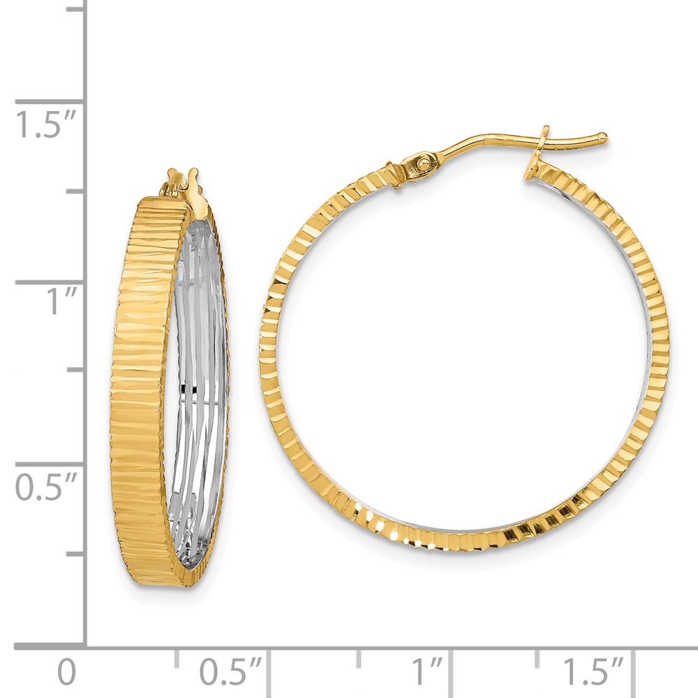 14K Yellow Gold Polished Hoop Earrings Image 3 Brummitt Jewelry Design Studio LLC Raleigh, NC