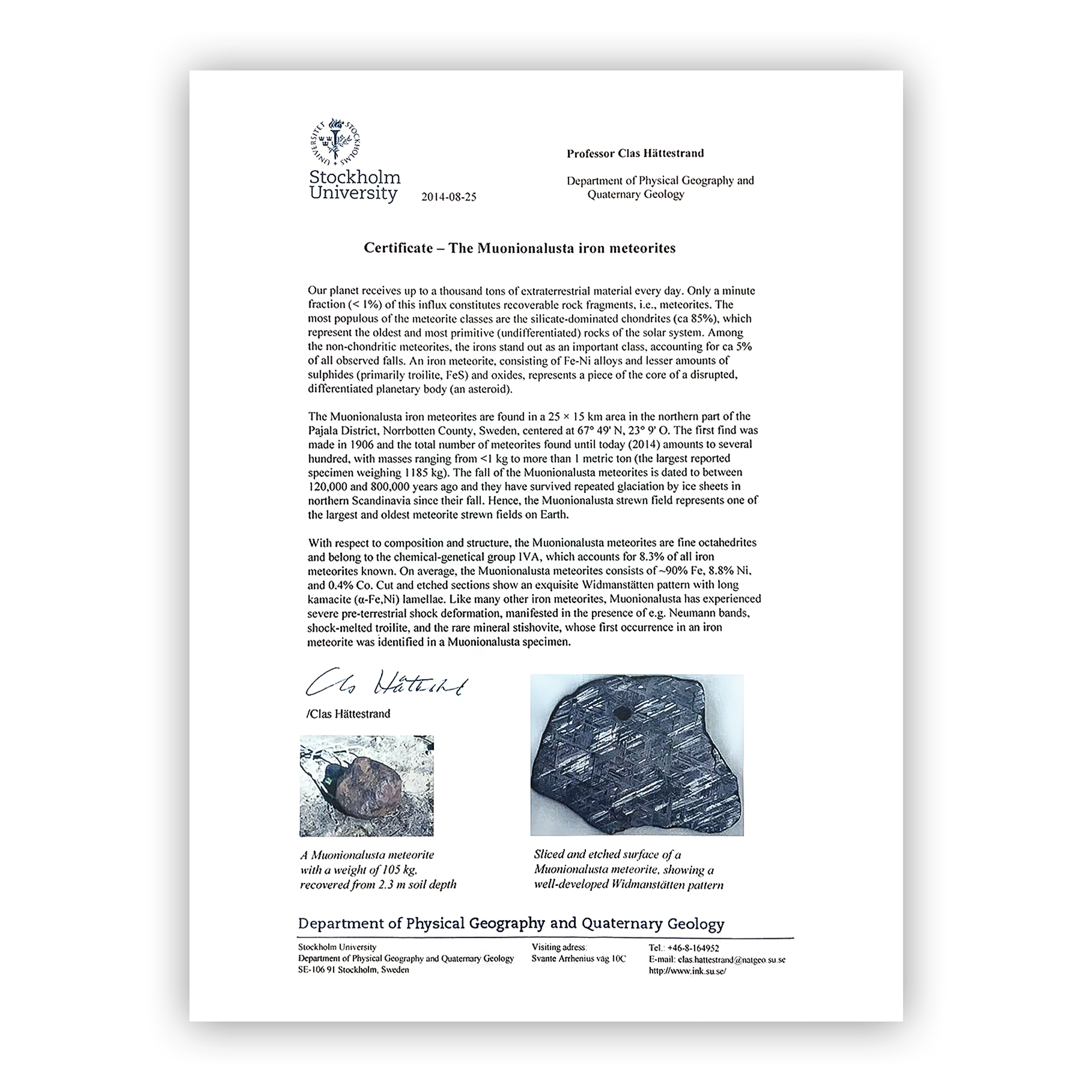 Solid Meteorite Inlay Black Plated Ring Image 5 Carroll / Ochs Jewelers Monroe, MI