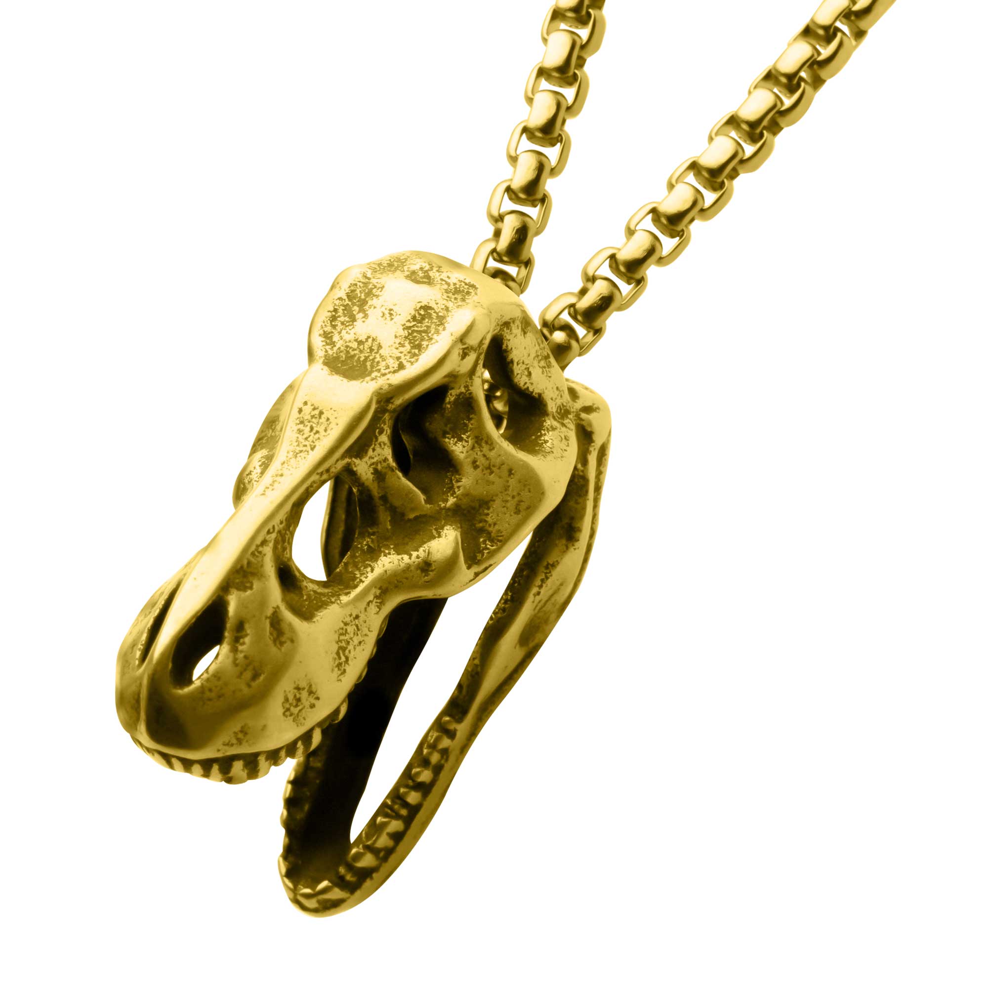 Distressed Matte 18Kt Gold IP T-Rex Skull Pendant with Chain Mueller Jewelers Chisago City, MN