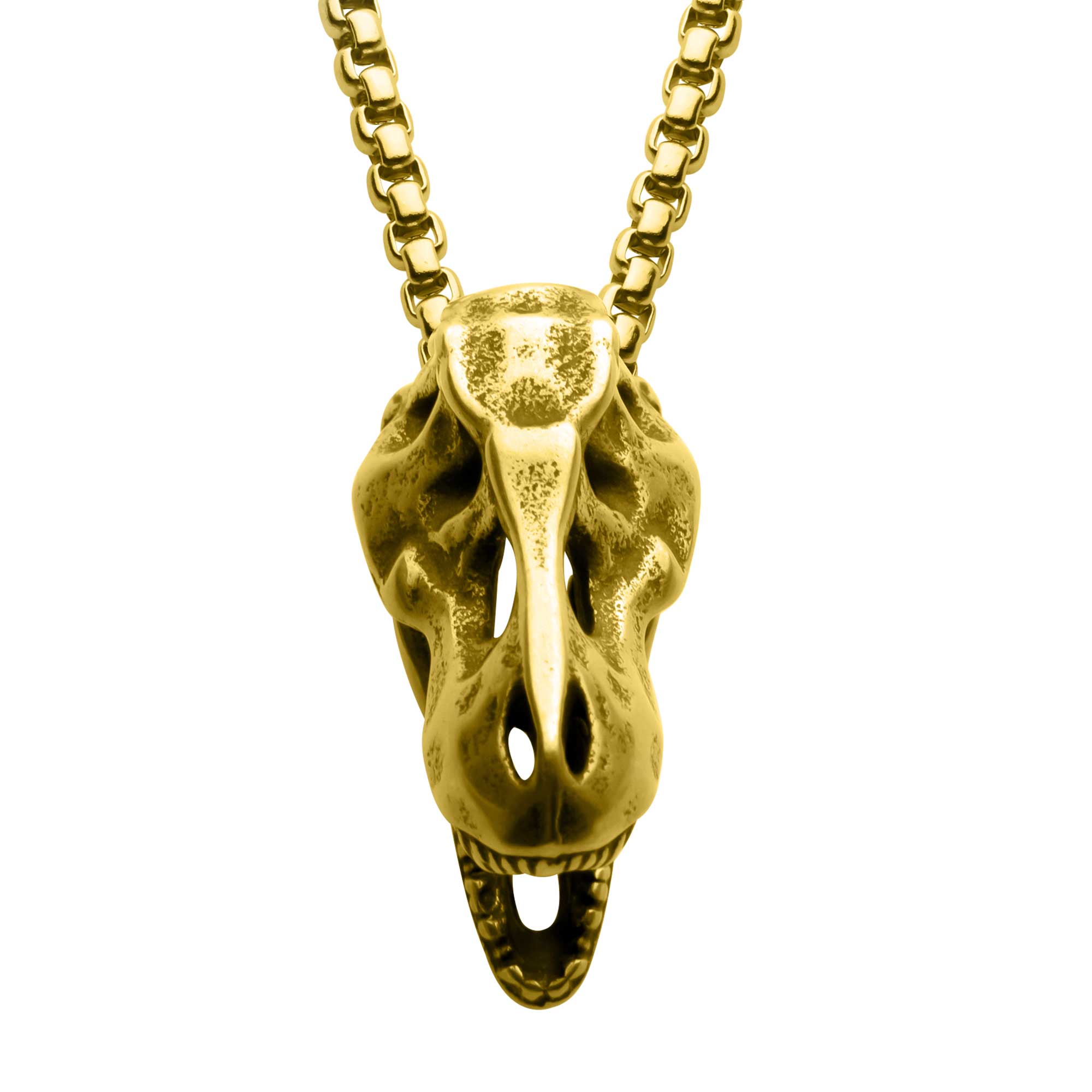 Distressed Matte 18Kt Gold IP T-Rex Skull Pendant with Chain Image 2 Ken Walker Jewelers Gig Harbor, WA