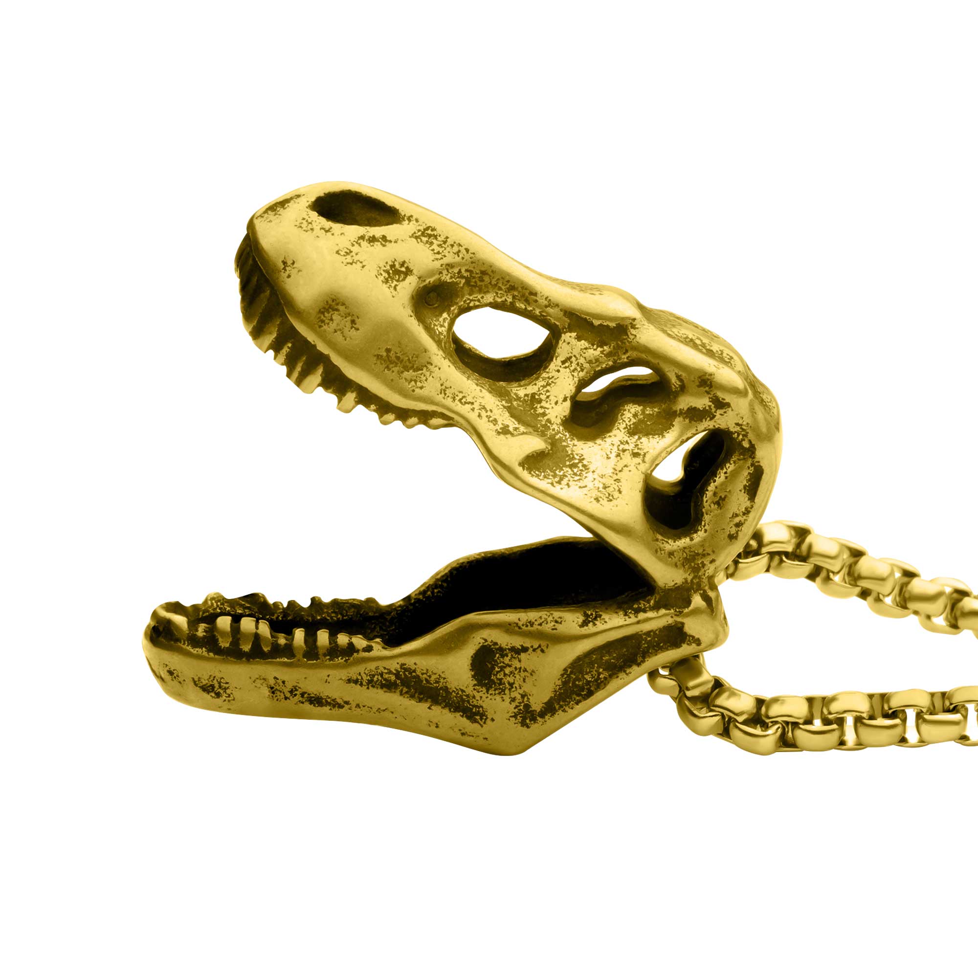 Distressed Matte 18Kt Gold IP T-Rex Skull Pendant with Chain Image 3 Ken Walker Jewelers Gig Harbor, WA